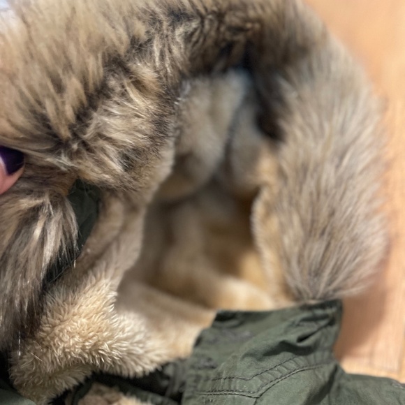 Zara Green Faux-Fur Lined Jacket – Warm Winter Essential (Kids) - Picture 5 of 6